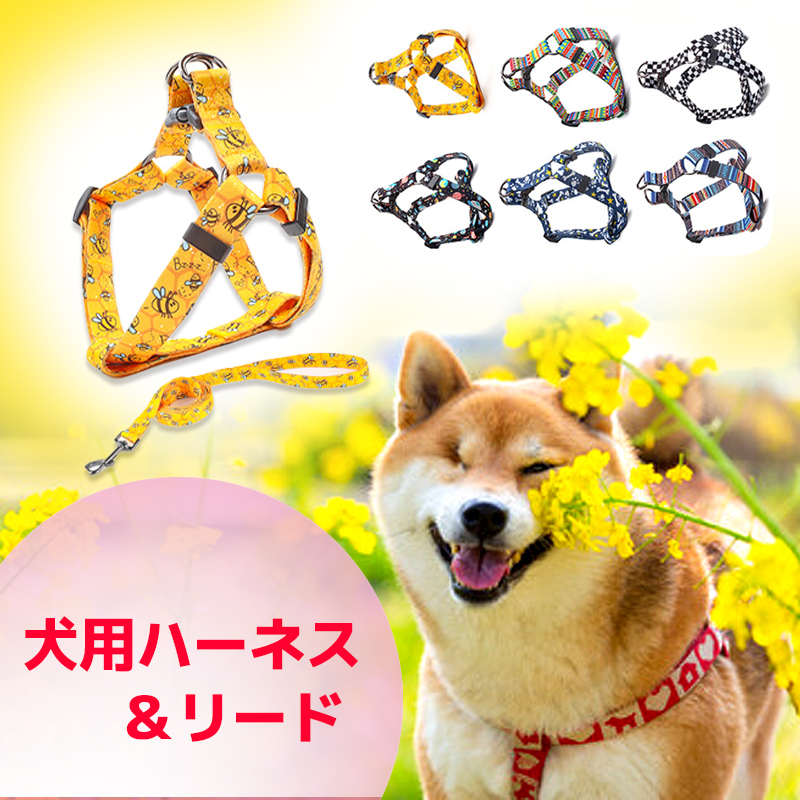 ☆美品☆アルテミデ□メランポ□テーブルスタンド 照明ランプ□9.5万 