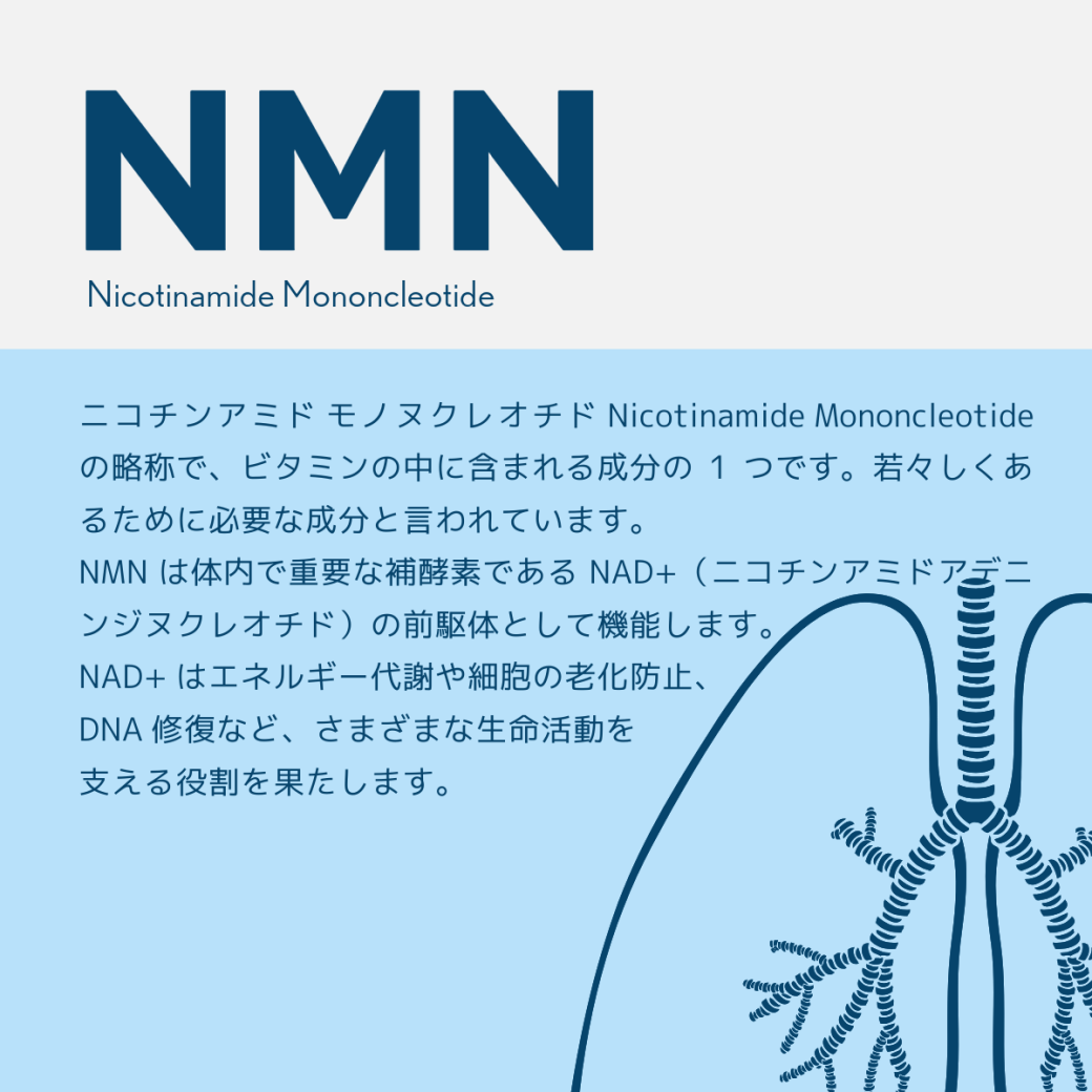 年齢を重ねても今もてます 美と健康の新革命 PrimeNMN15000