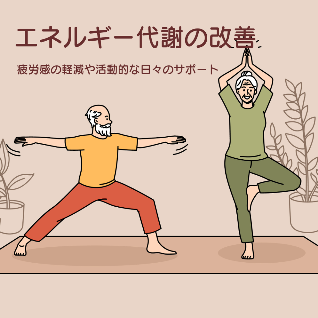 PrimeNMN15000 元気と活力をサポート 30日分~50日分 - 画像 (11)
