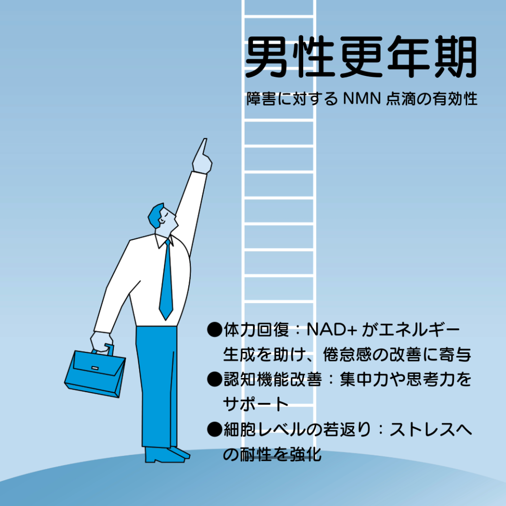 PrimeNMN15000 元気と活力をサポート 30日分~50日分 - 画像 (15)