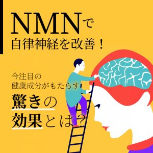 NMNで自律神経を改善