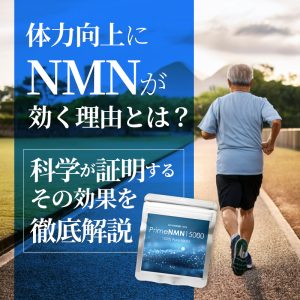 体力向上にNMNが効く