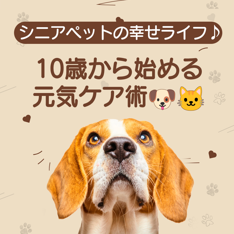 シニアペットの幸せライフ♪ 10歳から始める元気ケア術🐶🐱