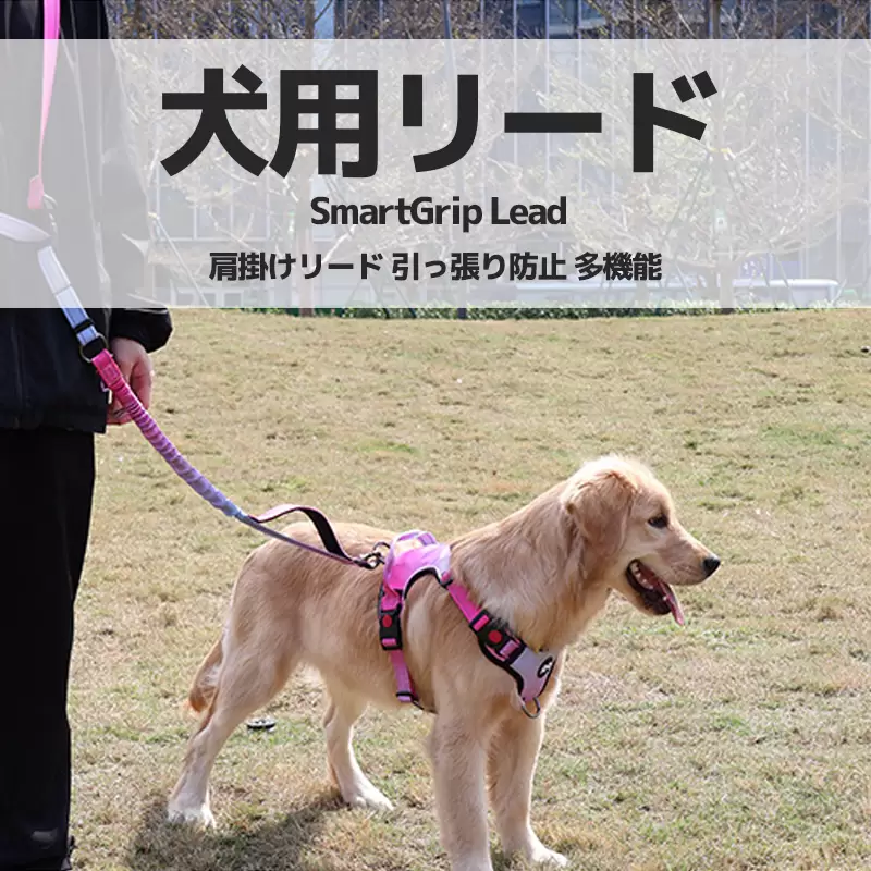 犬用リード スマートグリップリードSmartGrip Lead
