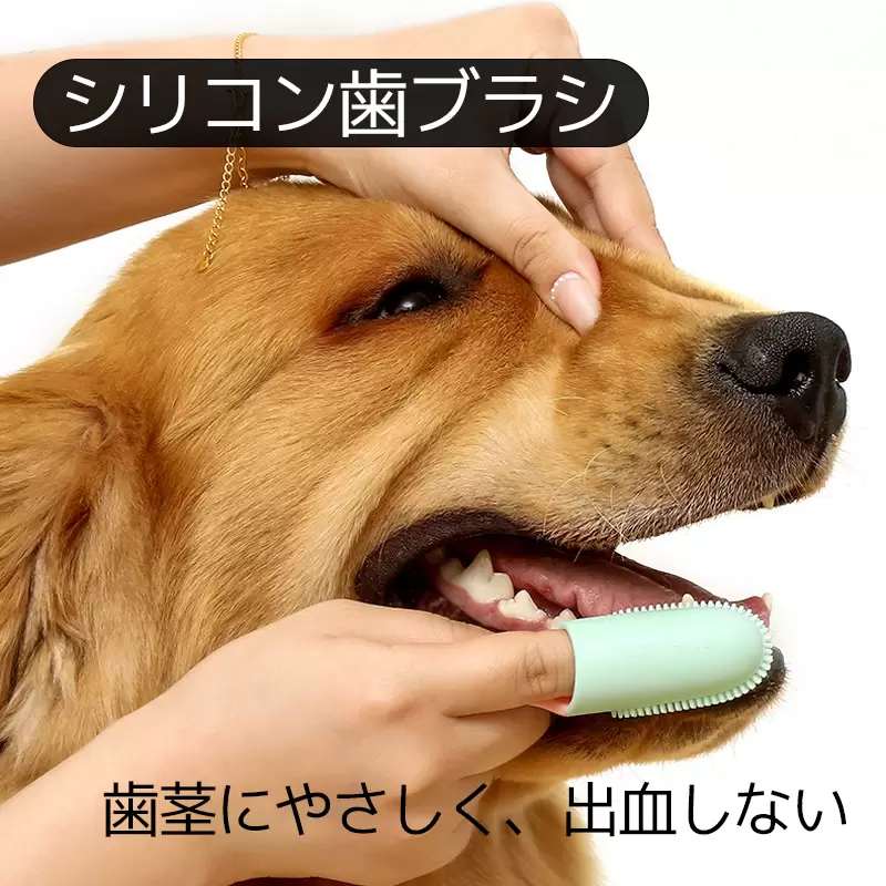 犬歯ブラシ 3color