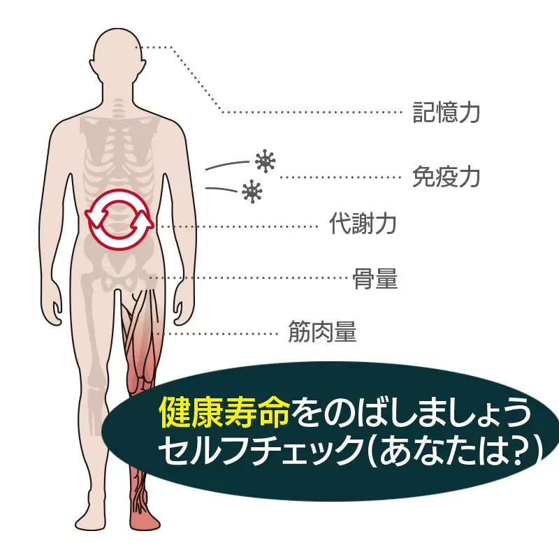 脳覚 Brain Up α-GPC 脳の栄養素