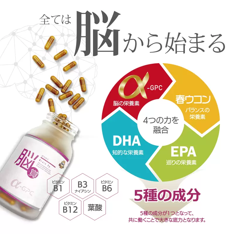 脳内のアセチルコリンの促進