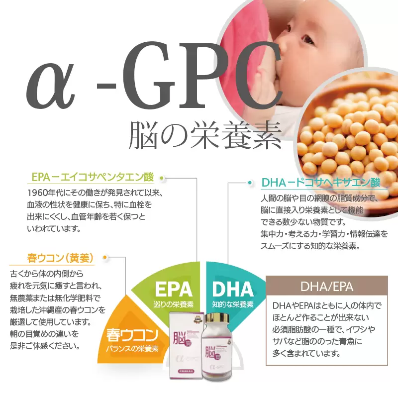 記憶力 注意力 学習能力