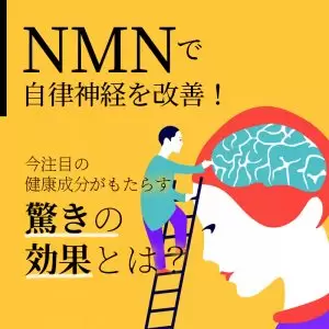 NMNで自律神経を改善